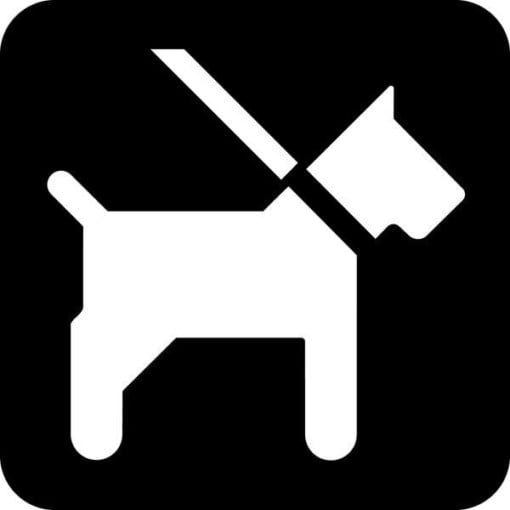 Hund i snor Piktogram skilt