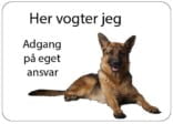 Schæferhund. Her vogter jeg