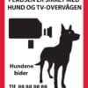 Pladsen er sikret med hund og TV overvågen Hundene bider. skilt