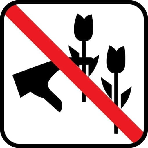 Ingen blomsterplukning skilt