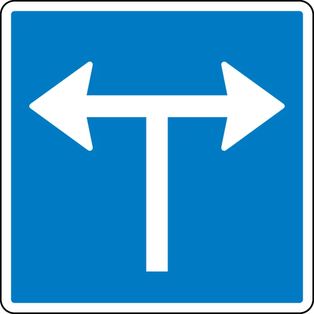 E 11,8