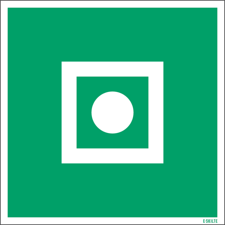 E031