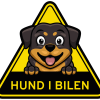 hund i bil rottweiler
