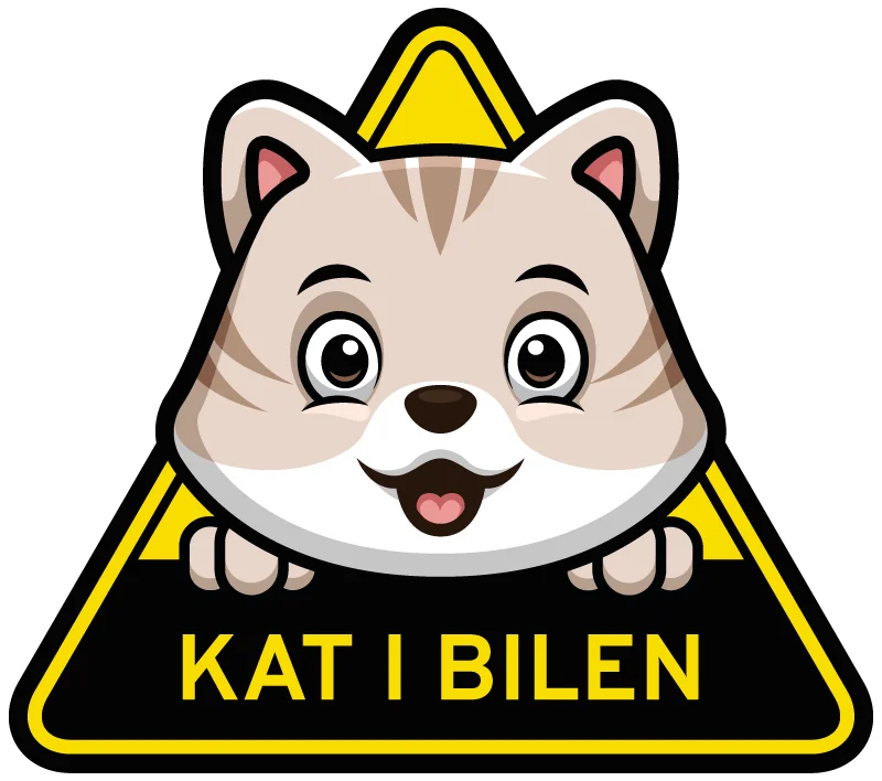 kat i bil