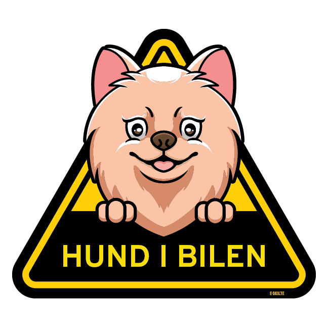 Hund i bilen skilt Pomeranian