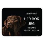 Her bor jeg skilt hund Labrador