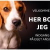 her bor jeg beagle hund