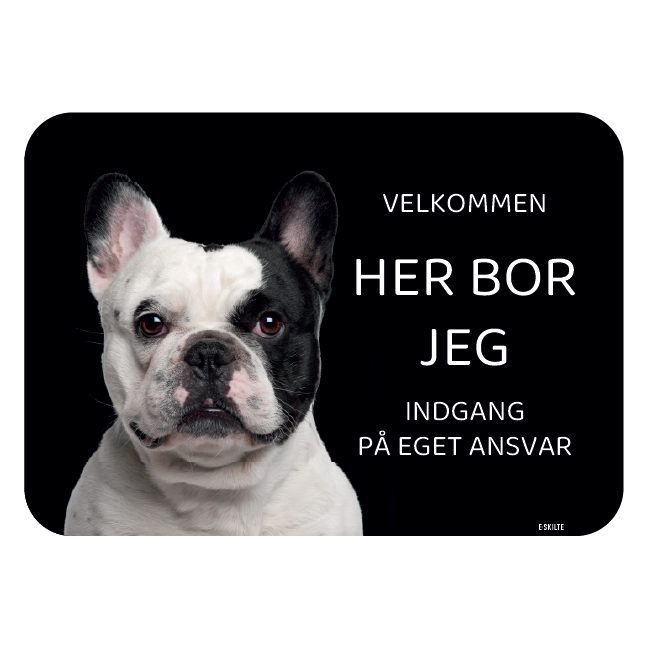 Her bor jeg skilt hund Fransk bulldog lys