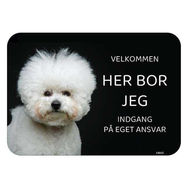 Her bor jeg skilt hund Bichon frisee