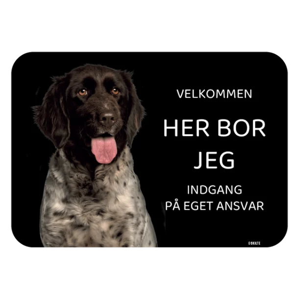 Her bor jeg skilt hund Hønsehund Münsterländer