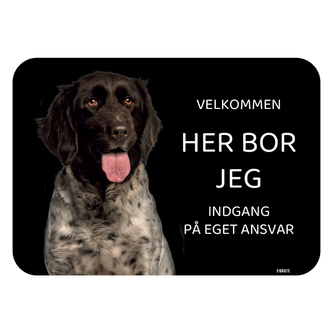 Her bor jeg skilt hund Hønsehund Münsterländer