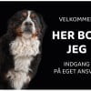 her bor jeg berner sennen hund