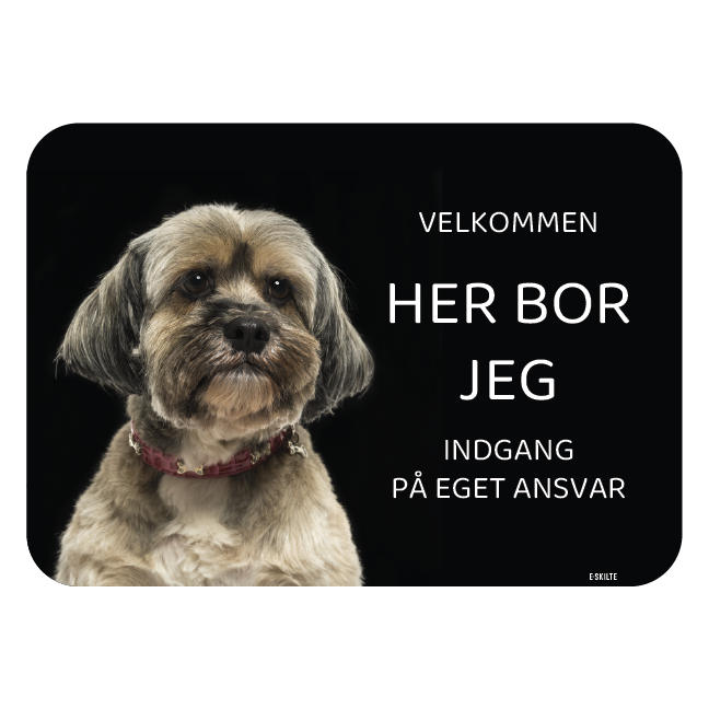 Her bor jeg skilt hund Lhasa apso