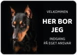 tysk deutscher pinscher hund skilt
