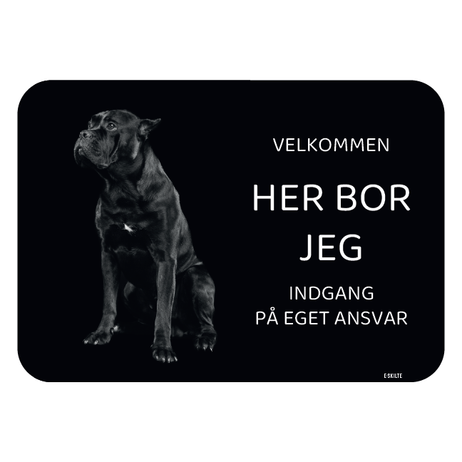 Her bor jeg skilt hund Cane corso
