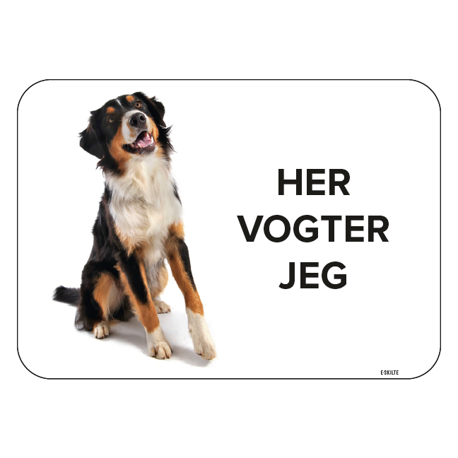 Berner sennen Her vogter jeg. Hundeskilte