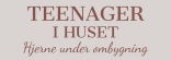 Teeanger i huset, Hjerne under ombygnnig